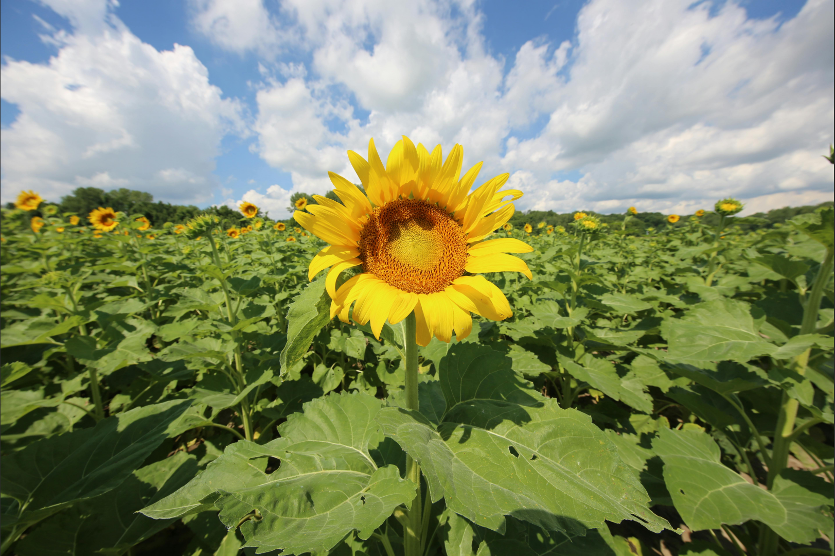影像之匠-焦距广角