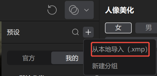 导入XMP文件